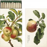 långa-tändstickor-fin-tändsticksask-äpple-äppleträd-äppel