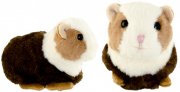 marsvin-hamster-gosedjur-bukowski