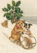 Julkort med kuvert hundar