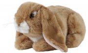 Kanin-keycraft-living-nature-hare-gosedjur-mjukdjurBrown Lop Eared Rabbit
